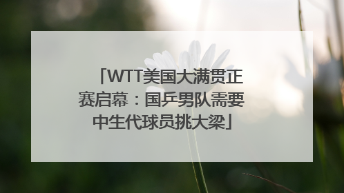 WTT美国大满贯正赛启幕：国乒男队需要中生代球员挑大梁