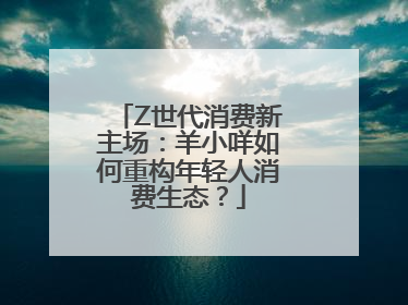 Z世代消费新主场：羊小咩如何重构年轻人消费生态？